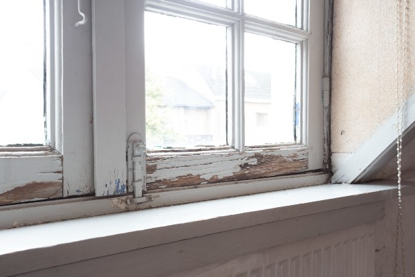 Lead Exposure